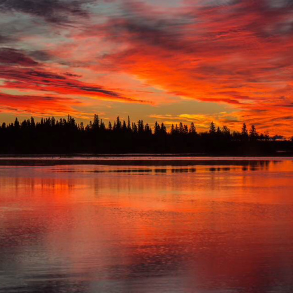 Meet your Posher, Doreen - Picture 1 of 1